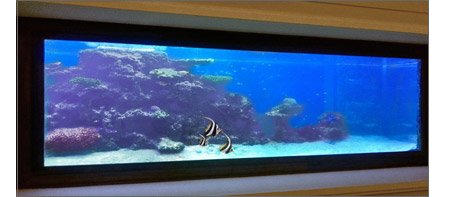 Living Coral Reef Aquarium, Thailand
