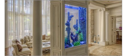 Deep Acrylic Residential Aquarium