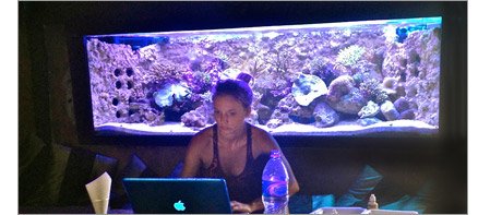 Woman test reef aquarium water parameters.
