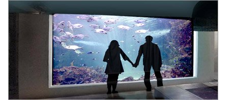 Kempinski Resort Aquarium, Zanzibar