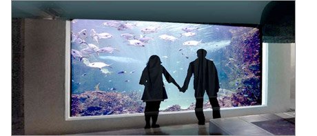 Guests standing in front of the completed floor to ceiling acrylic viewing panel